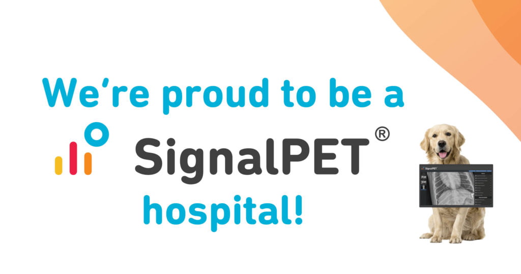 InHouse Diagnostics in Crete, NE Crete Veterinary Clinic